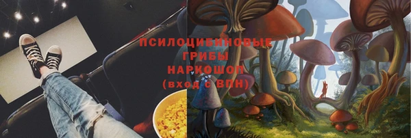 ПСИЛОЦИБИНОВЫЕ ГРИБЫ Няндома