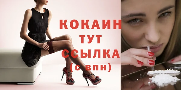 мдпв Новозыбков