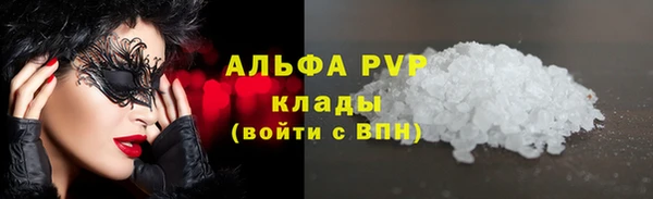 гидра Новокубанск