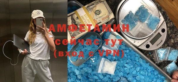 ПСИЛОЦИБИНОВЫЕ ГРИБЫ Няндома