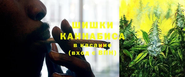 мдпв Новозыбков