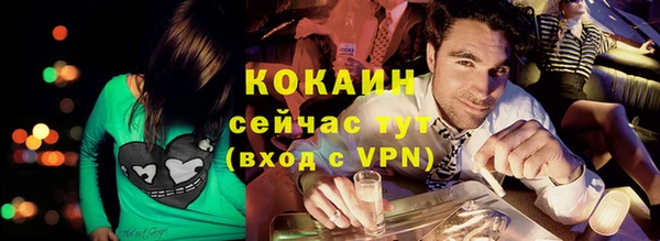 мдпв Новозыбков