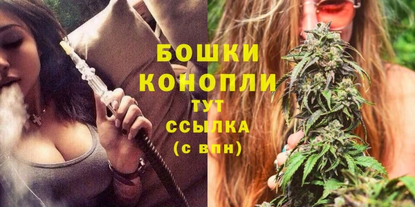 гидра Новокубанск