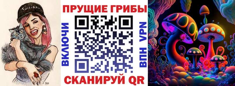 Псилоцибиновые грибы GOLDEN TEACHER Змеиногорск